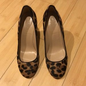 Jcrew pumps